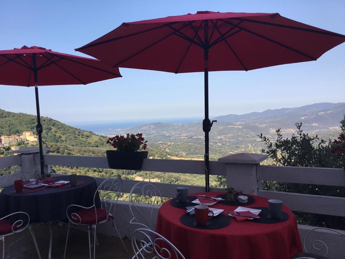 Bed and Breakfast U Riposu Di A Cupulatta Sollacaro Exterior foto